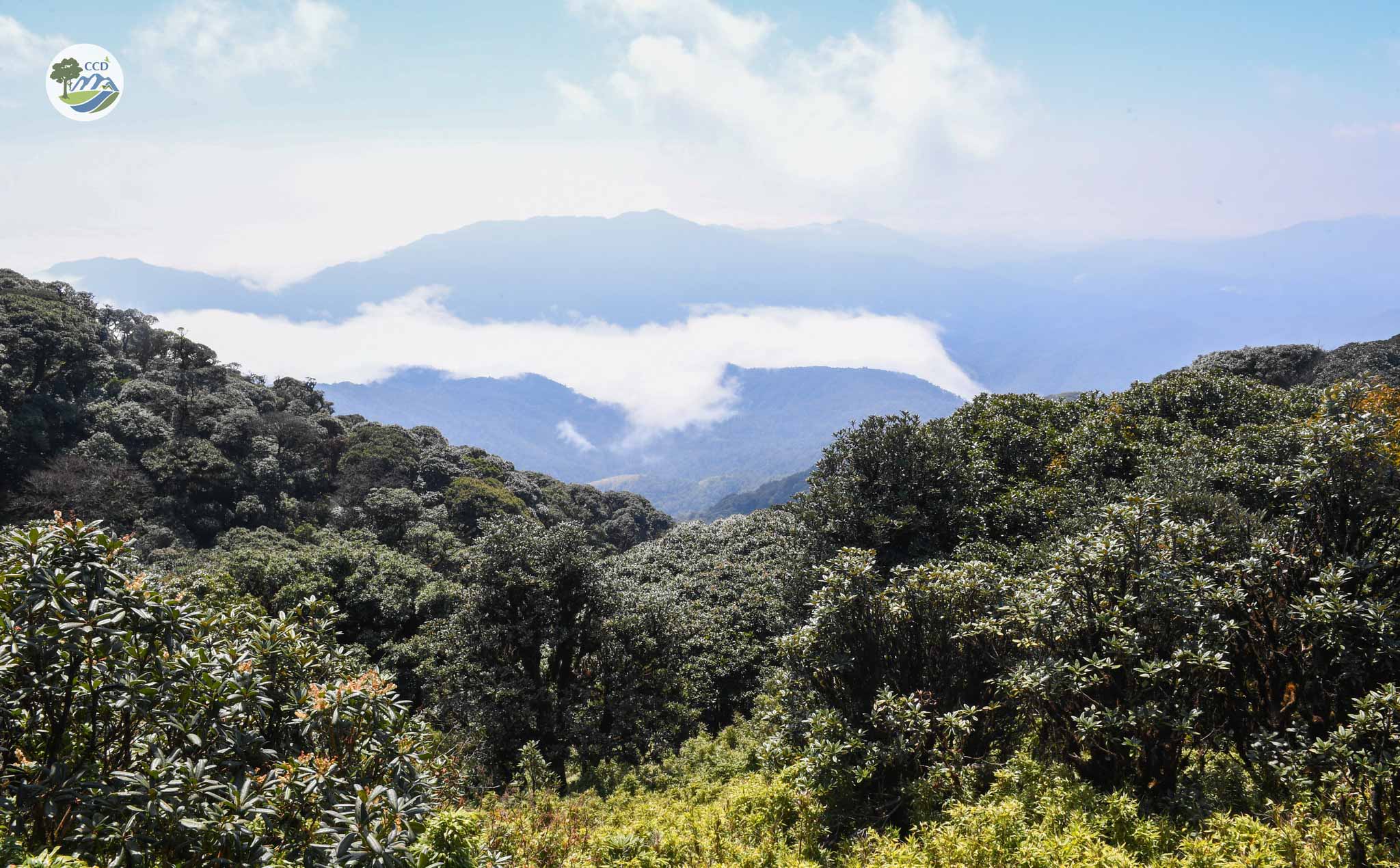 LAUNCHING THE 10-YEAR PERIODIC REVIEW OF THE TAY NGHE AN BIOSPHERE RESERVE