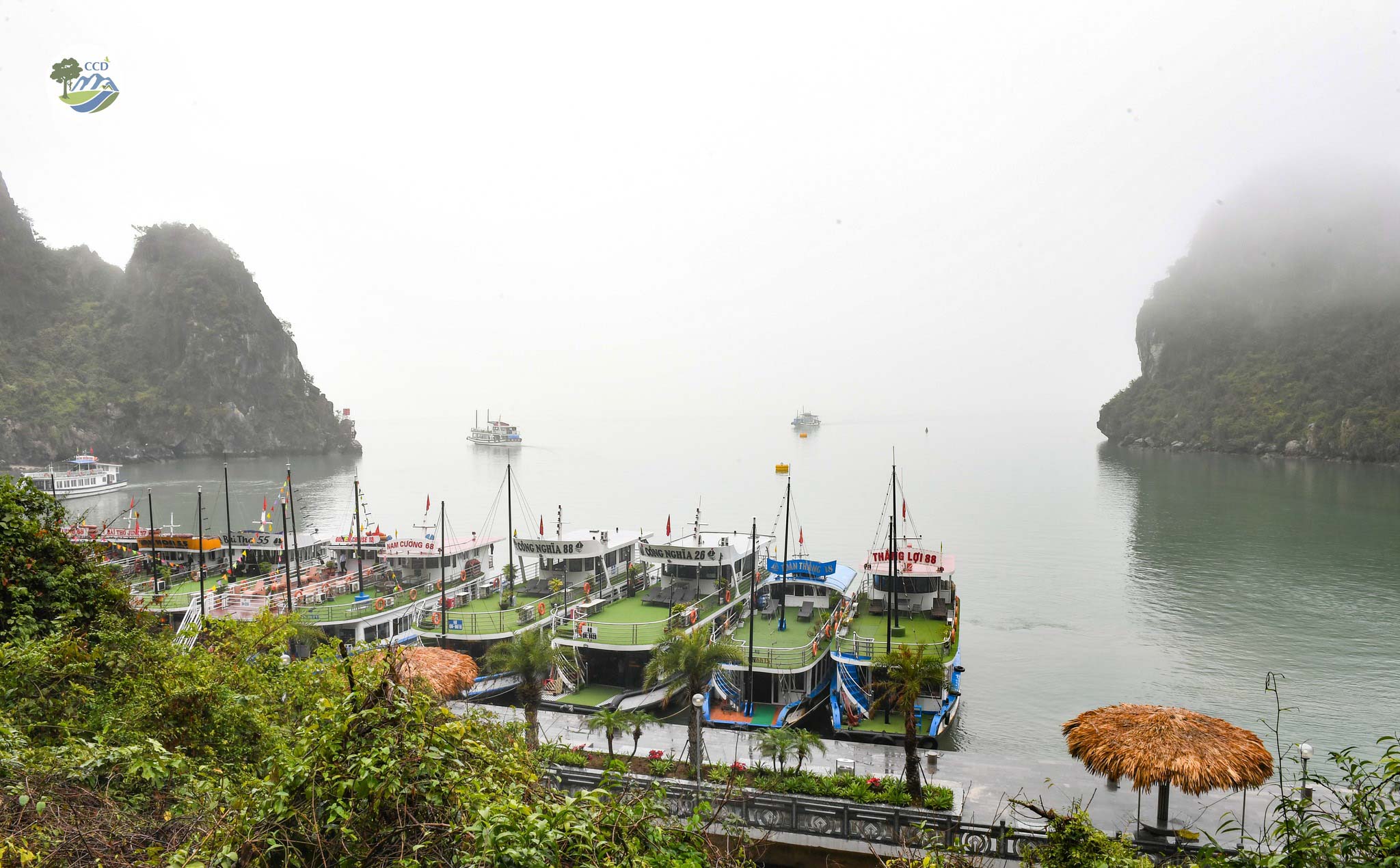 TOWARD GREEN AND SUSTAINABLE TOURISM IN HA LONG BAY – CAT BA ARCHIPELAGO WORLD NATURAL HERITAGE SITE