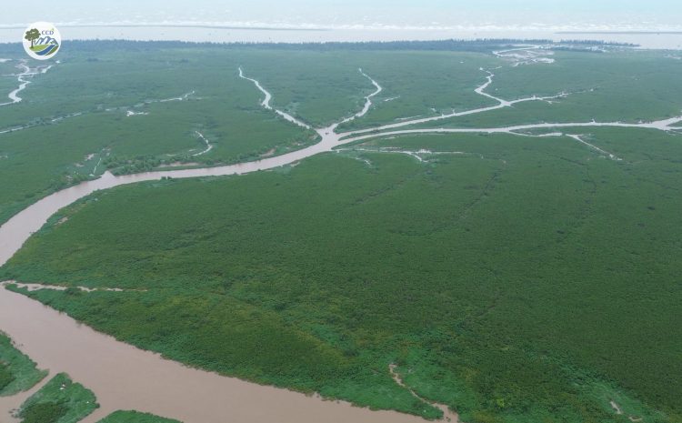 GREEN TOURISM DEVELOPMENT LINKED WITH BIODIVERSITY CONSERVATION IN XUAN THUY NATIONAL PARK