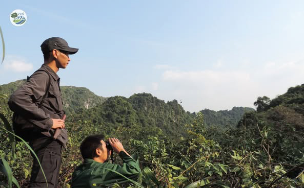 URGENT ACTIONS TO PROTECT THE DELACOUR’S LANGUR IN HANOI