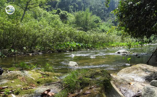 CONSERVATION OF ENDANGERED OTTER SPECIES IN XUAN LIEN NATIONAL PARK, THANH HOA PROVINCE