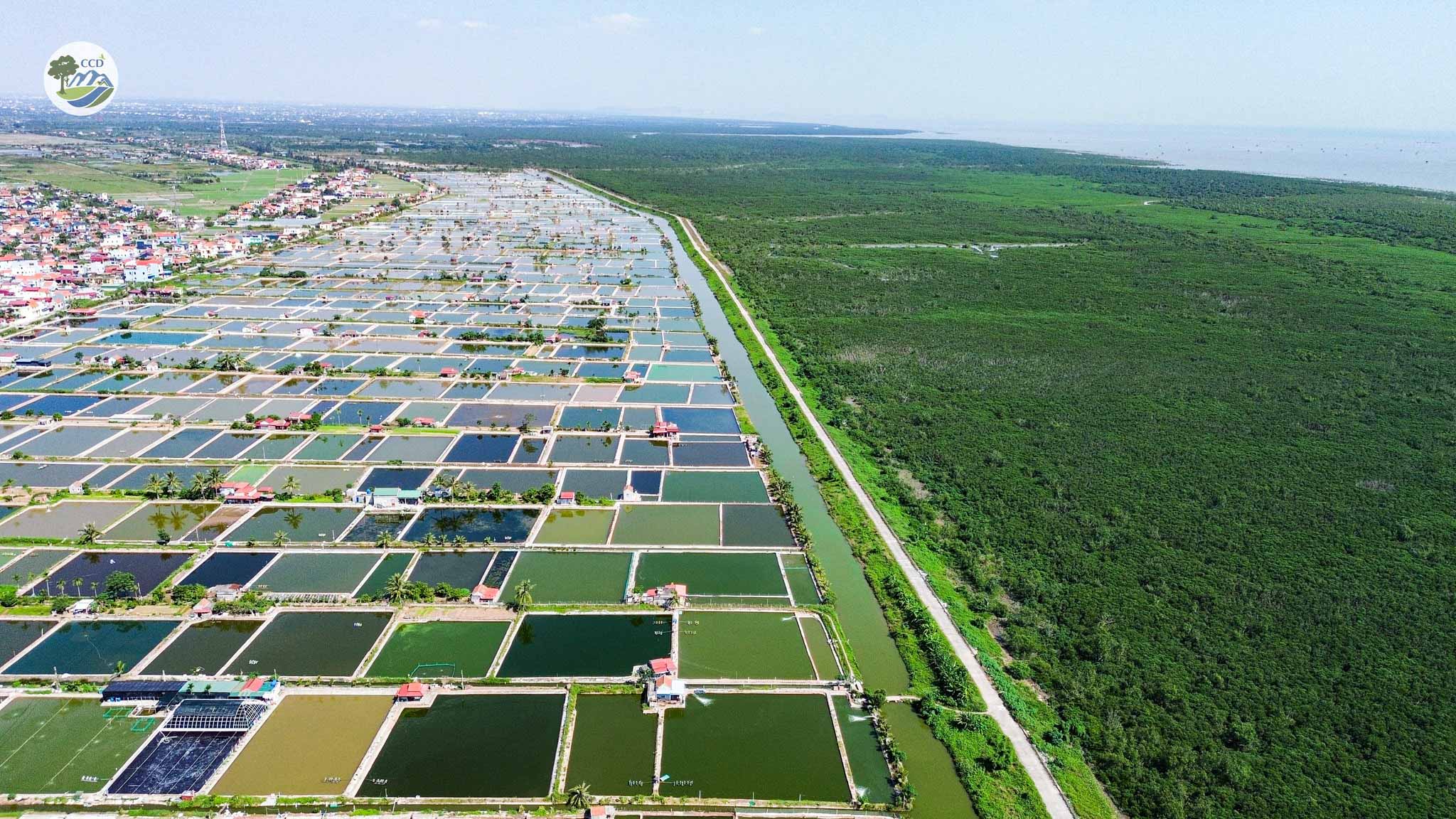 ECOTOURISM DEVELOPMENT IN THE THAI THUY WETLAND NATURE RESERVE