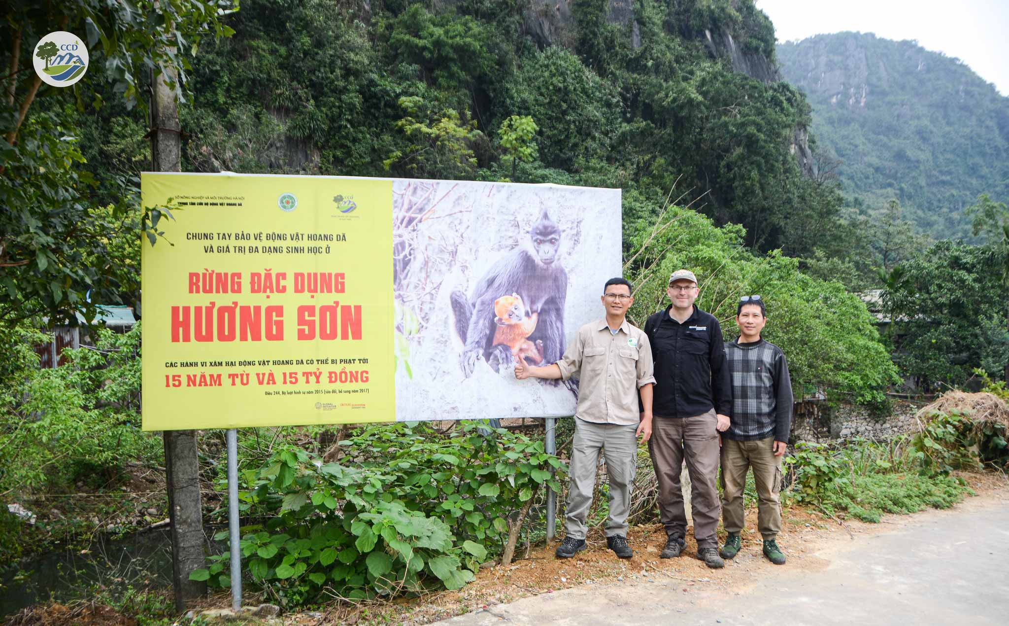 CONTINUING CONSERVATION EFFORTS FOR THE DELACOUR’S LANGUR IN HANOI