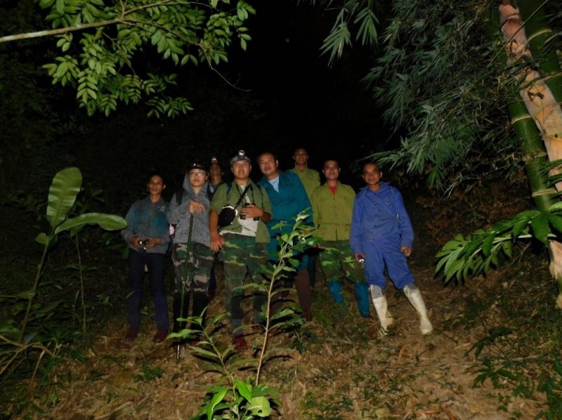 Điều tra và nghiên cứu về các loài Cu li (Nycticebus spp.) lần 3 tại Khu Bảo tồn Thiên nhiên Xuân Liên