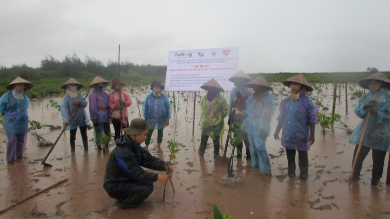 Tập huấn Khôi phục rừng ngập mặn tại vùng đệm Vườn Quốc gia Xuân Thủy, tỉnh Nam Định