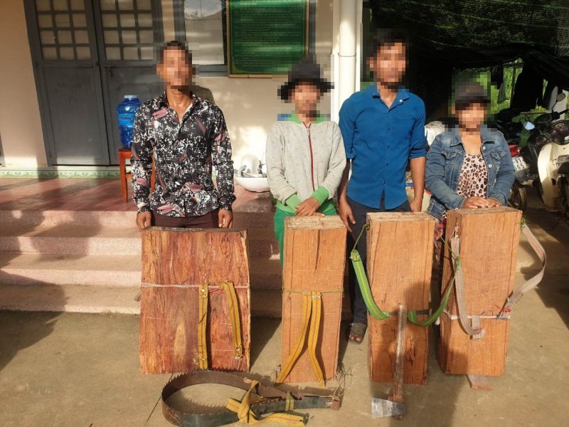 Phạt tù nhóm khai thác Cẩm Lai trái phép tại Vườn quốc gia Cát Tiên