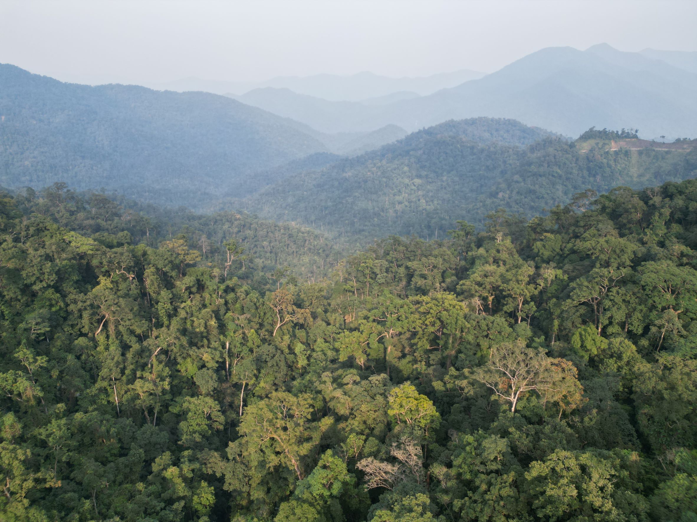 Quy hoạch phát triển du lịch sinh thái bền vững và trách nhiệm cho các khu rừng đặc dụng ở Thừa Thiên Huế