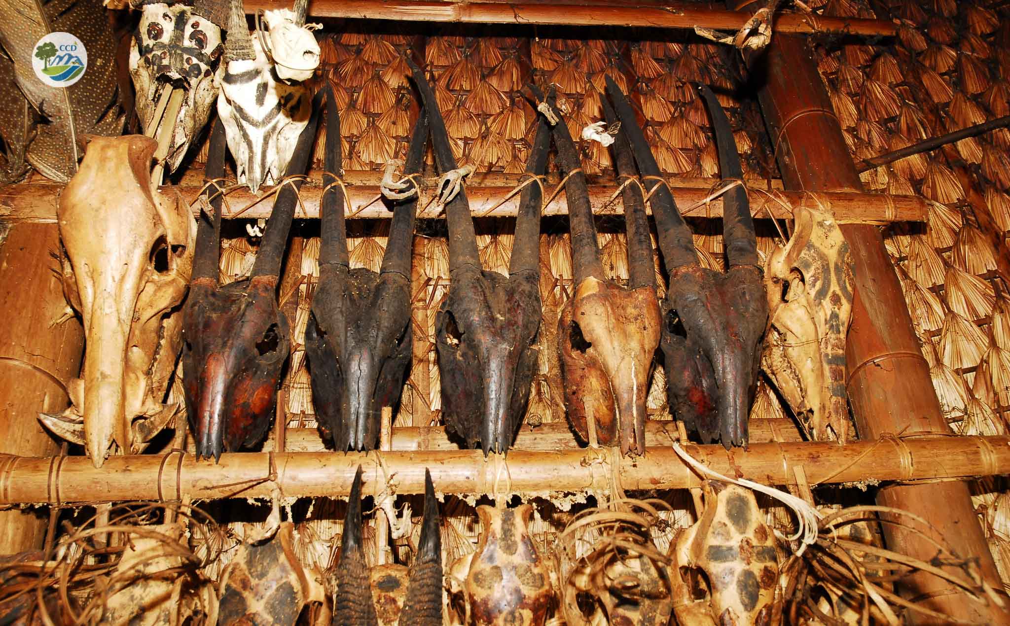 CƠ HỘI MỚI CHO SAO LA