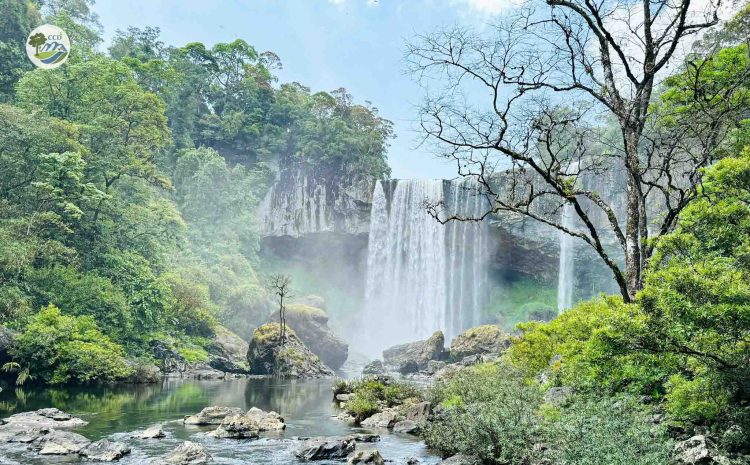  QUY HOẠCH DU LỊCH SINH THÁI TẠI KHU BẢO TỒN THIÊN NHIÊN KON CHƯ RĂNG